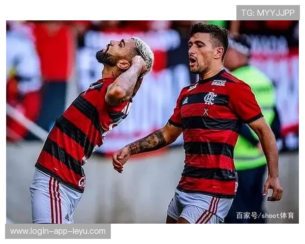 弗拉门戈防线协作紧密